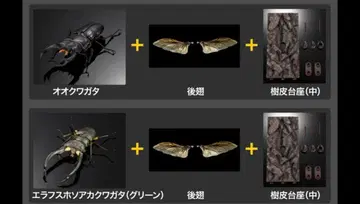 생물대도감 어드밴스 사슴벌레 02 [ 온라인 ]