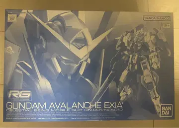 RG GUNDAM AVALANCHE EXIA 1/144