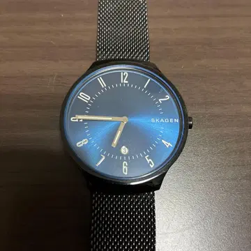 SKAGEN 아날로그 손목시계 쿼츠 블루