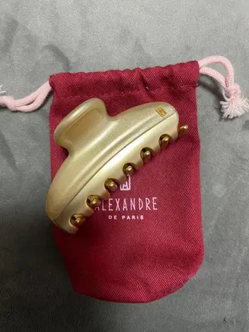 ALEXANDRE DE PARIS 골드 헤어 클립