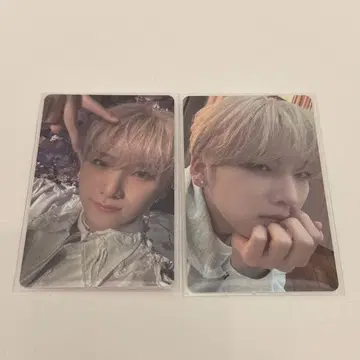 &TEAM 오월우산 weverse 글로벌 사인회 트레이딩 카드 유마