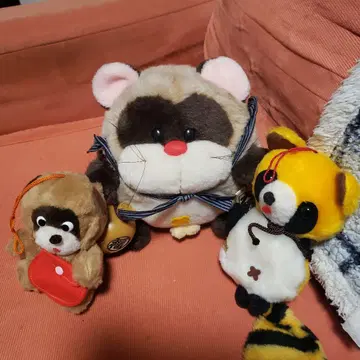 너구리 봉제 인형 세트