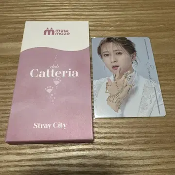 캐터리아 네일 씰 소말리