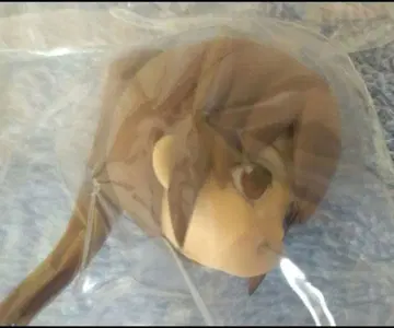 은혼 제일복권 완결편 G상 오키타 소고 치비큥 캐릭터 피규어