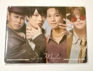 캐터리아 네일씰 혜택 시크릿 도그 피아