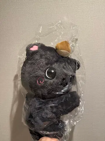 nct wish 리쿠 캐릭터 백 서울콘 MD 가방 밤