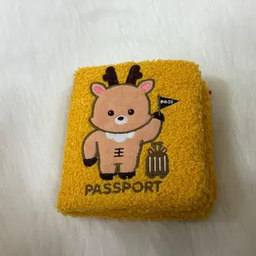 BOSS RIIZE 성찬 여권 케이스