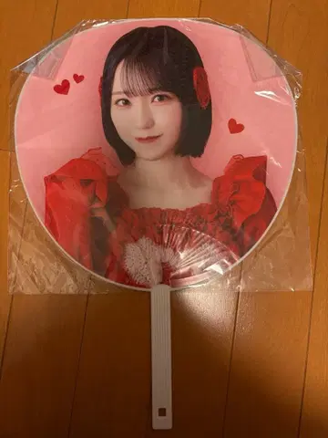 노구치 이오리 부채 특별히