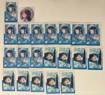 프로세카 호시노 이치카 묶음 판매