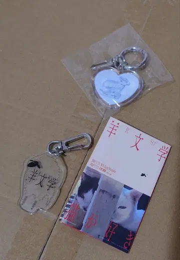 양문학 마법을 쓸 수 있는 2025 굿즈 magic keyring 기타
