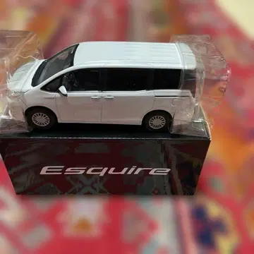 Esquire 화이트 미니카