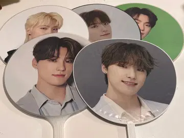 seventeen dino 부채 5장 세트