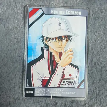 스탯 카드 컬렉션 에치젠 료마