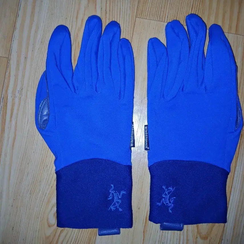 Arc'teryx Venta LT Windowstopper - ネルソン本物