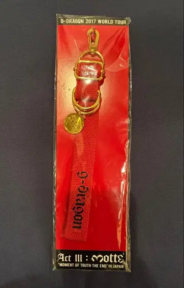 G-DRAGON 2017 WOULD TOUR 키링