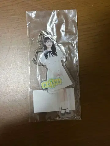 노기자카46 츠츠이 아야메 아크릴 키링 Same numbers