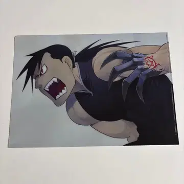 [ 익명 배송 ] 강철의 연금술사 하가렌 그리드 린 클리어 파일 한정품