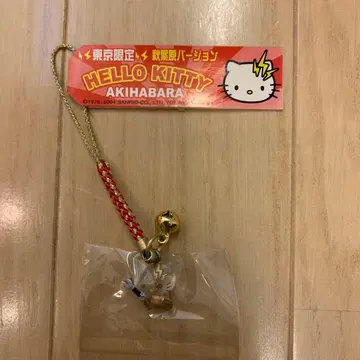 [레어] 고토치 키티 도쿄 한정판 아키하바라 버전 헬로키티 네츠케