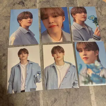 seventeen 에스쿱스 트레이딩 카드