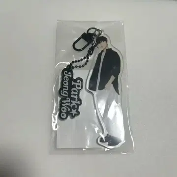 TREASURE 2025 팬콘 정우 아크링 키링