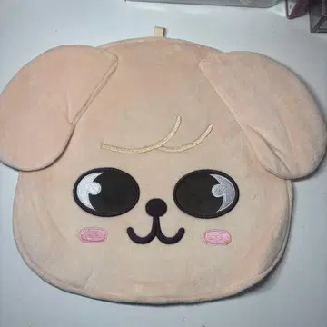 straykids 퍼핌 부채 커버