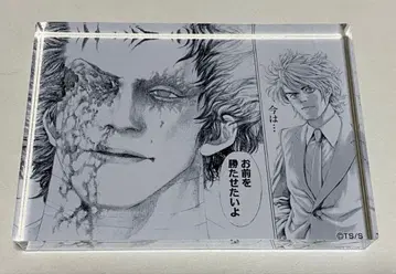 우스구이 팝업 아크릴 블록 아쿠브로 마다라메 캬라