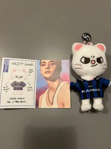 straykids KARMA SKZOOver. 지니레트