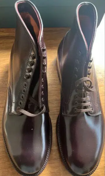 미사용 아나토미카 알든 45662H