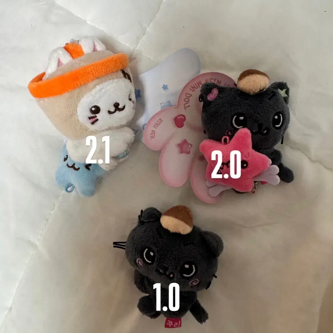 NCT | 엔시티 Nct Wish random color wish doll riku kuri pop up md