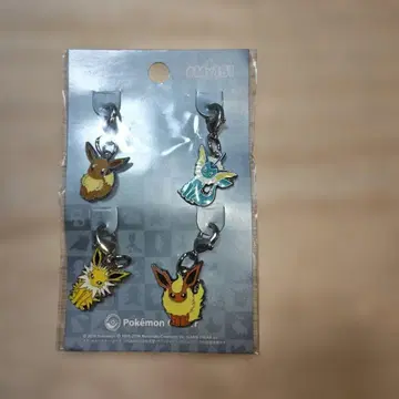 전국 도감 메탈 참 이브이 이브이 프렌즈 포켓몬