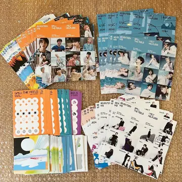 SEVENTEEN 세븐틴 세부치 스티커 spill the feels 원우