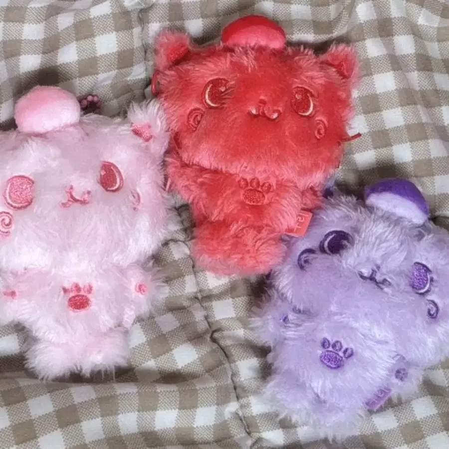 NCT | 엔시티 Nct Wish random color wish doll riku kuri pop up md