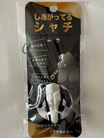 완성된 범고래 키링 스트랩