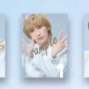 캐터리아 네일 씰 트레이딩 카드