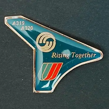 빈티지! 미국 유나이티드 항공 & 에어버스 더블 네임 핀 배지