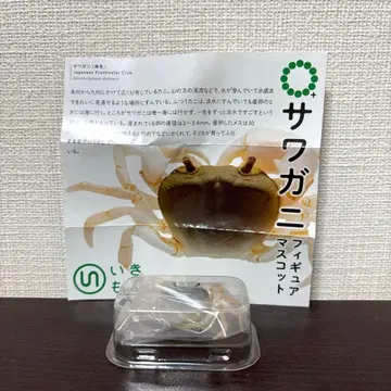 참게 갈색 네이처 테크니컬러