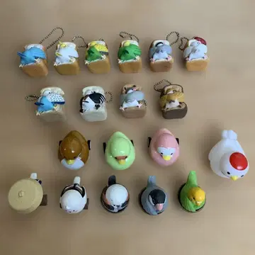 새 앵무새 코카투 시마연가 외 가챠가챠 키링 21마리 세트
