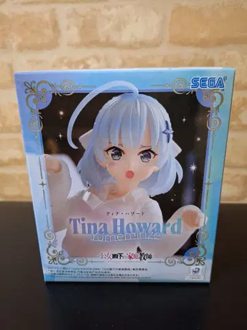 공녀 전하의 가정교사로부터 티나 하워드 Yumemirize