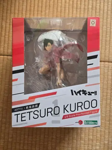 하이큐!! ARTFXJ 쿠로오 테츠로 1/8 스케일 페인팅 완료 피규어