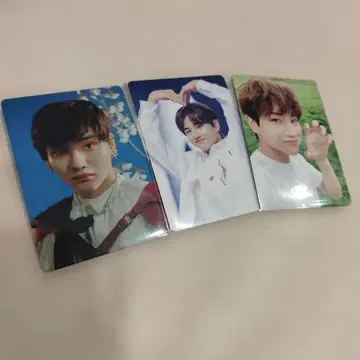 가쿠 GAKU 아오엔 aoen &team &audition 트레이딩 카드