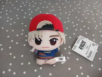 RIIZE Fly Up SD 인형 vol.1 은석 EUNSEOK