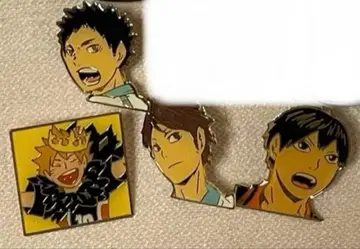 하이큐 핀즈 핀배치 묶음 판매