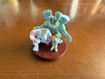 입체 포켓몬 도감 완리키 고리키 카이리키