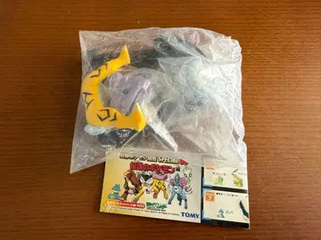 입체 포켓몬 도감 라이코