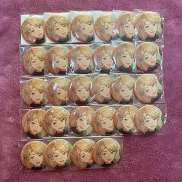 앙스타 나루카미 아라시 이베코레 캔뱃지 casual 28개