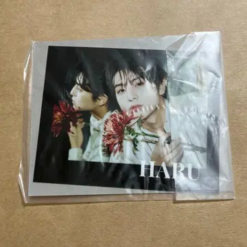 카시와기 유 키라리 스크래치 C상