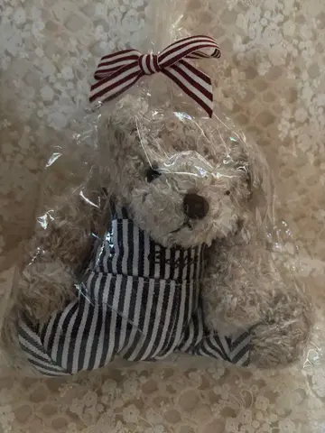 타리즈 베어풀 타리즈커피 곰 살로펫