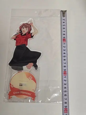 학원 아이돌 마스터 학마스 하나미 유메 특대형 아크릴 스탠드 라운드 원