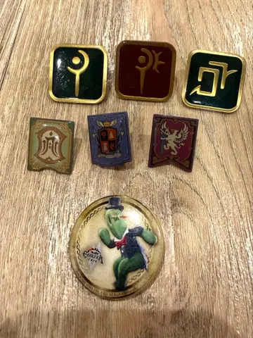 FF14 핀 배지 직업 배지 선인장 배지 에오카페