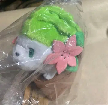 포켓몬 포켓몬 센터 Pokmon Grassy Gardening 봉제 인형